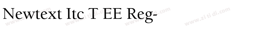 Newtext Itc T EE Reg字体转换
